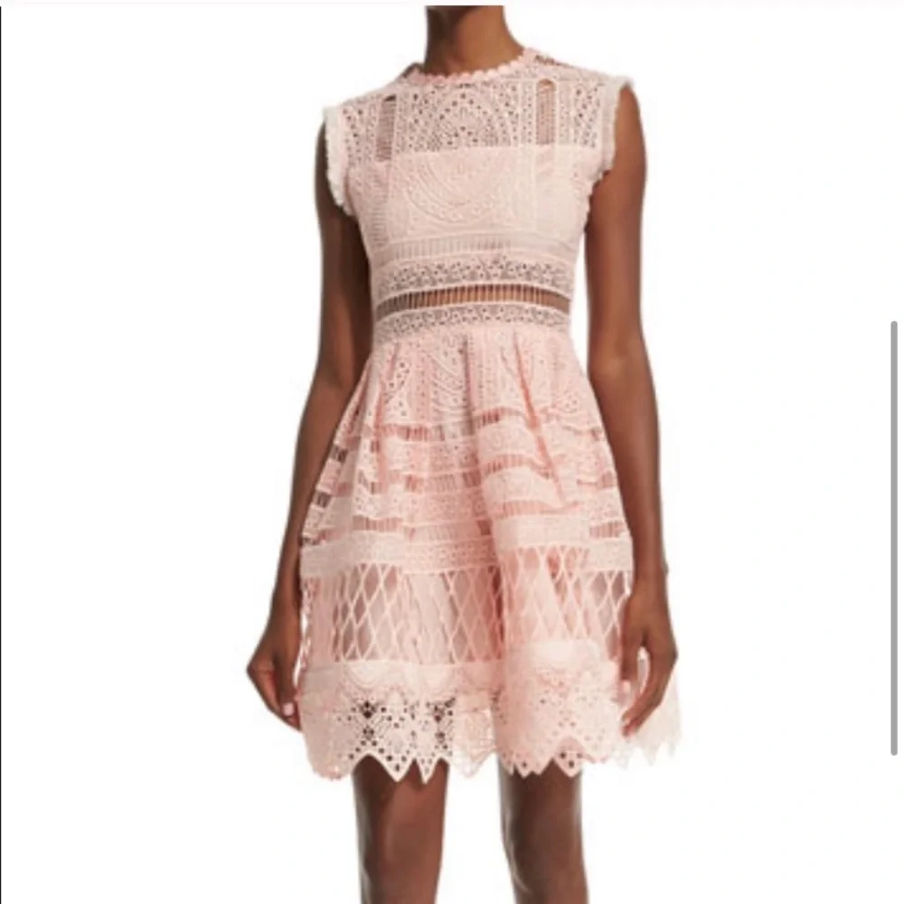 Sage fit and flare dress in blossom by Alexis - Picture 4 of 5